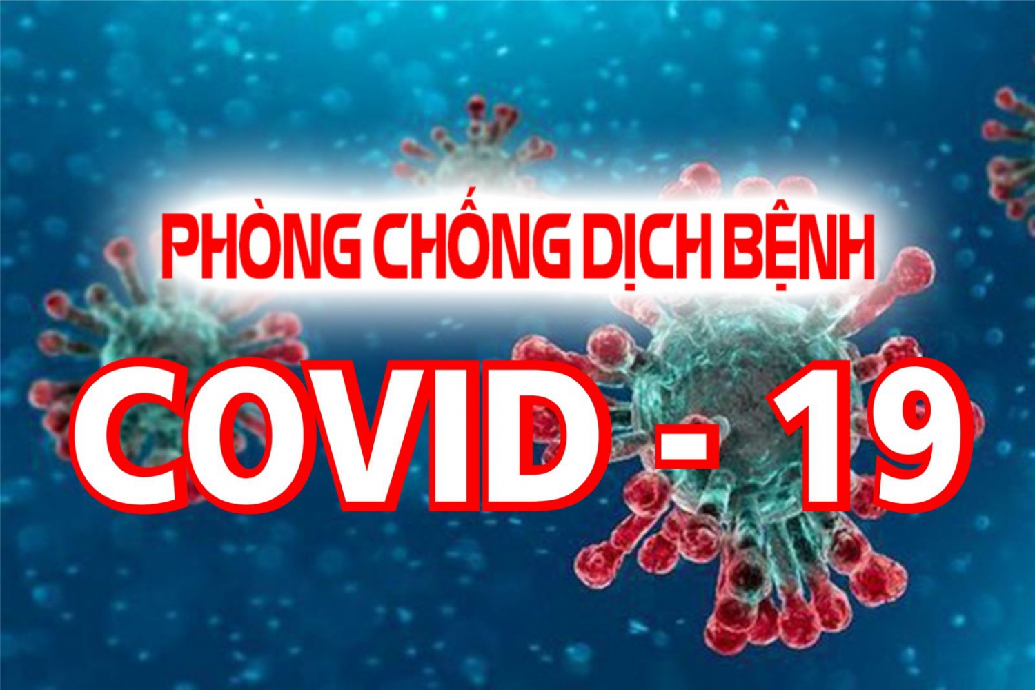 Bình Định triển khai các biện pháp phòng chống dịch Covid-19